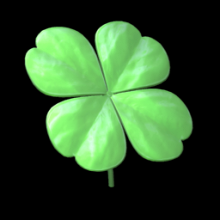 Shamrock